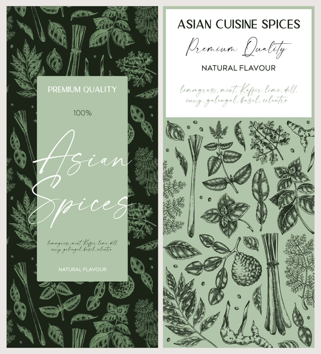 Asian spice label design. Basil, curry, calangal, cilantro, lime sketches. Herbs hand-drawn vector illustration. Vintage spice banner template. . NOT AI generated